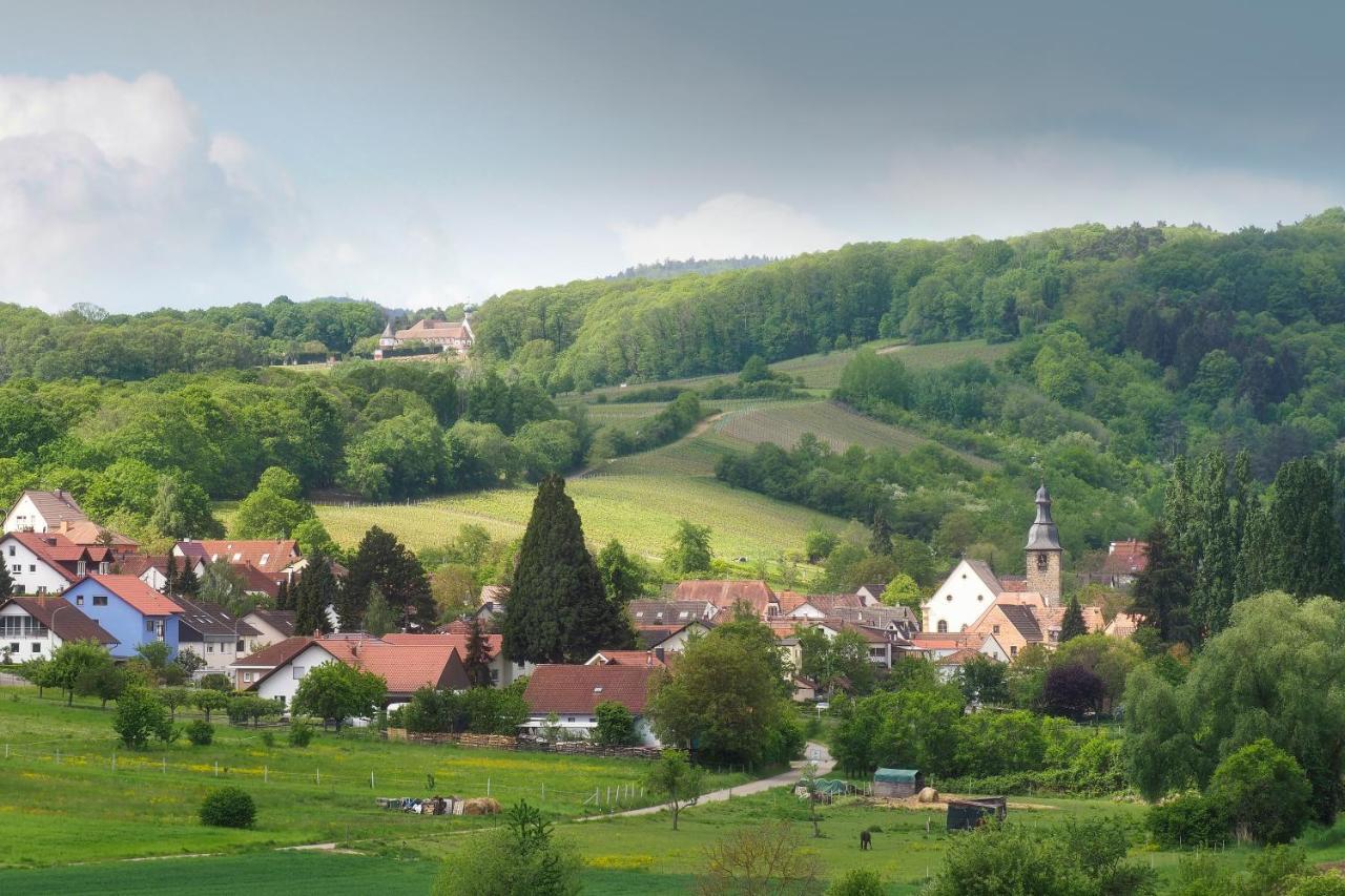Landhotel Hauer Pleisweiler-Oberhofen Esterno foto